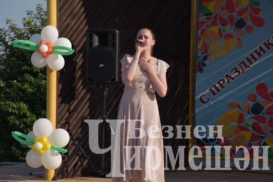 В Черемшане на празднике ко Дню семьи организовали мастер - классы (ФОТОРЕПОРТАЖ)