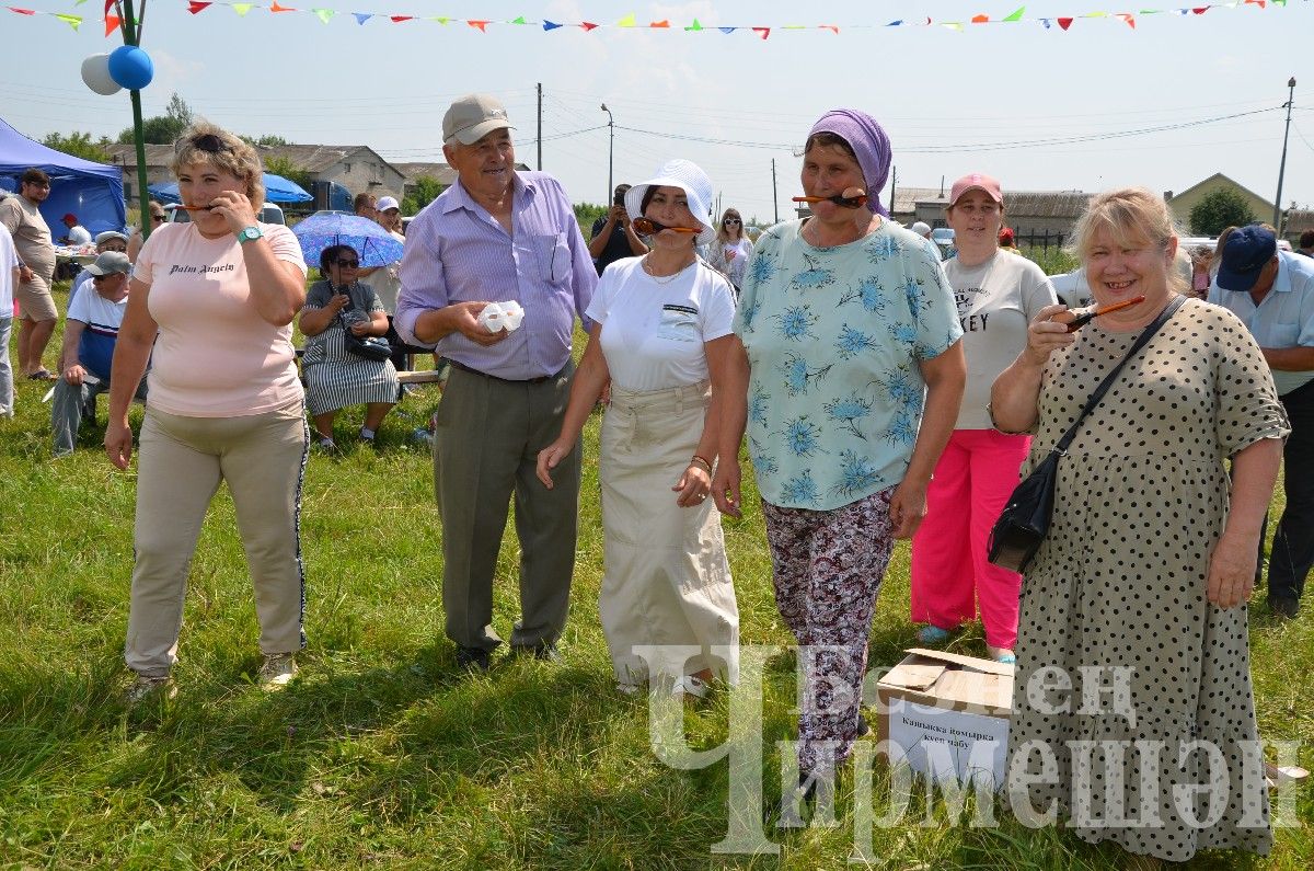 В Лашманке на празднике День села боролись и девушки (ФОТОРЕПОРТАЖ)