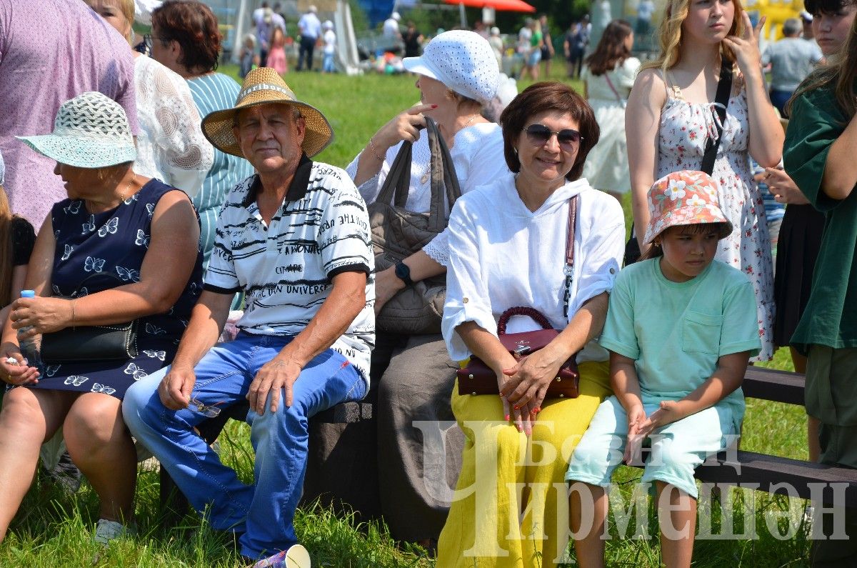 В Лашманке на празднике День села боролись и девушки (ФОТОРЕПОРТАЖ)