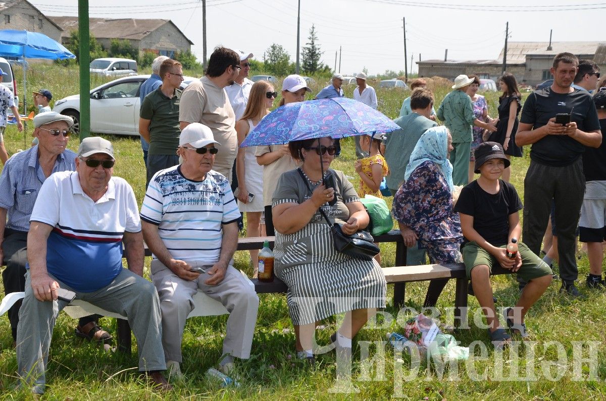 В Лашманке на празднике День села боролись и девушки (ФОТОРЕПОРТАЖ)