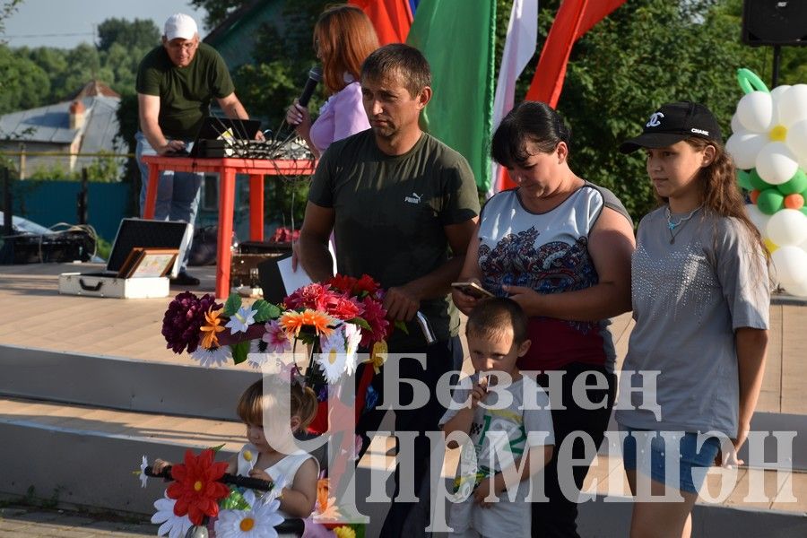 В Черемшане на празднике ко Дню семьи организовали мастер - классы (ФОТОРЕПОРТАЖ)