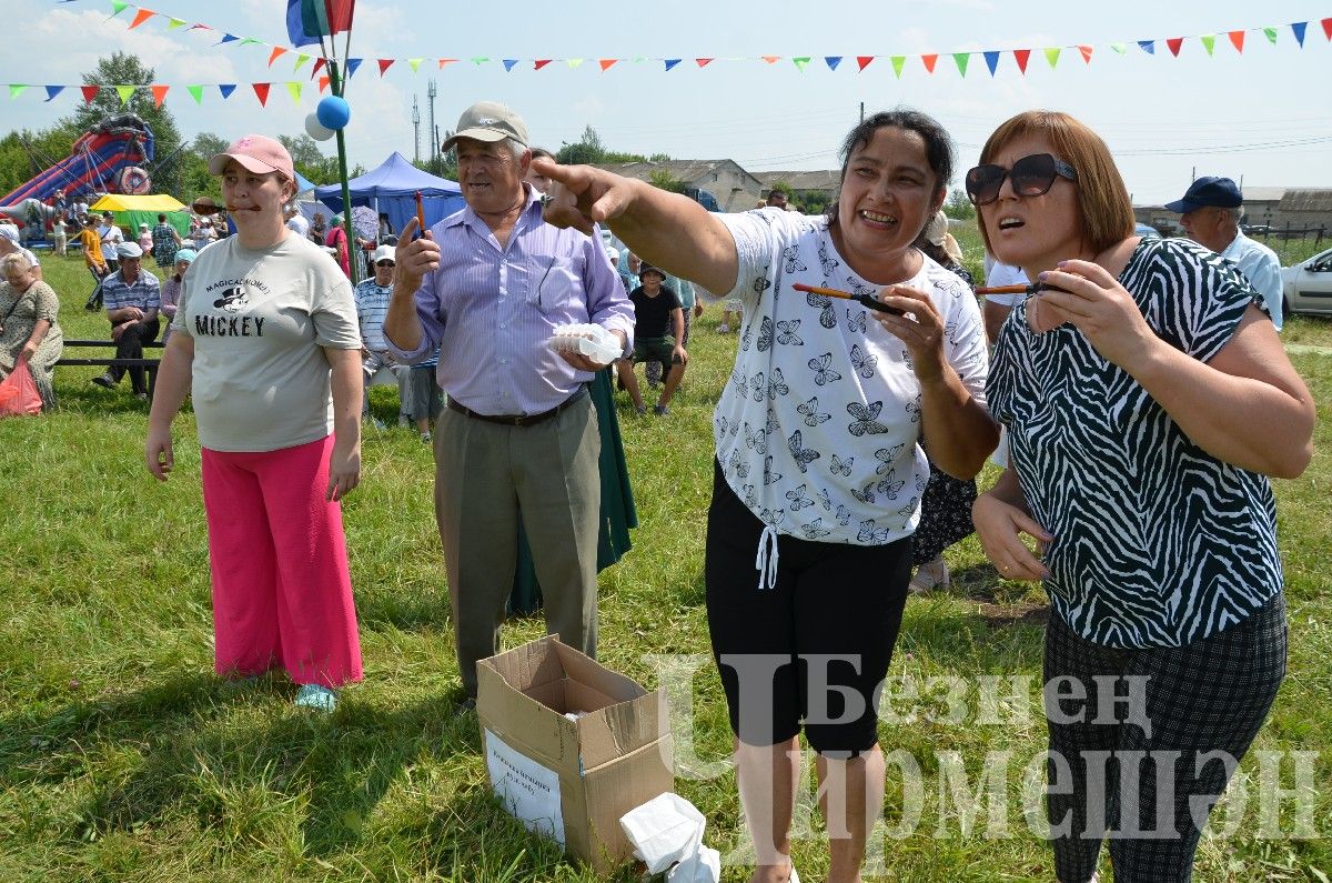 В Лашманке на празднике День села боролись и девушки (ФОТОРЕПОРТАЖ)