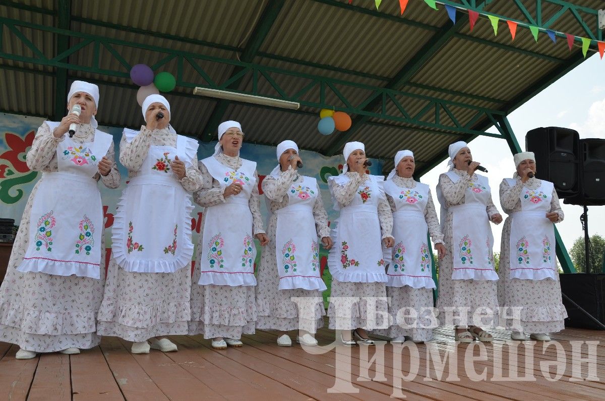 В Лашманке на празднике День села боролись и девушки (ФОТОРЕПОРТАЖ)