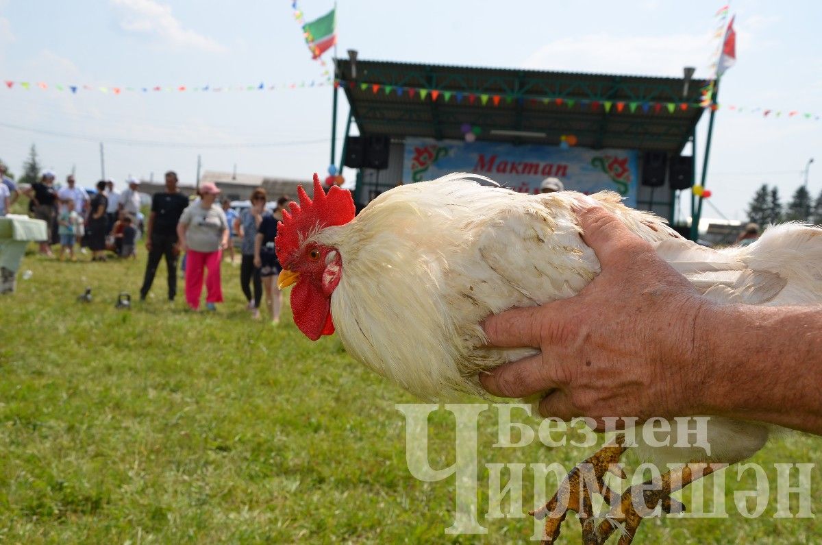 В Лашманке на празднике День села боролись и девушки (ФОТОРЕПОРТАЖ)