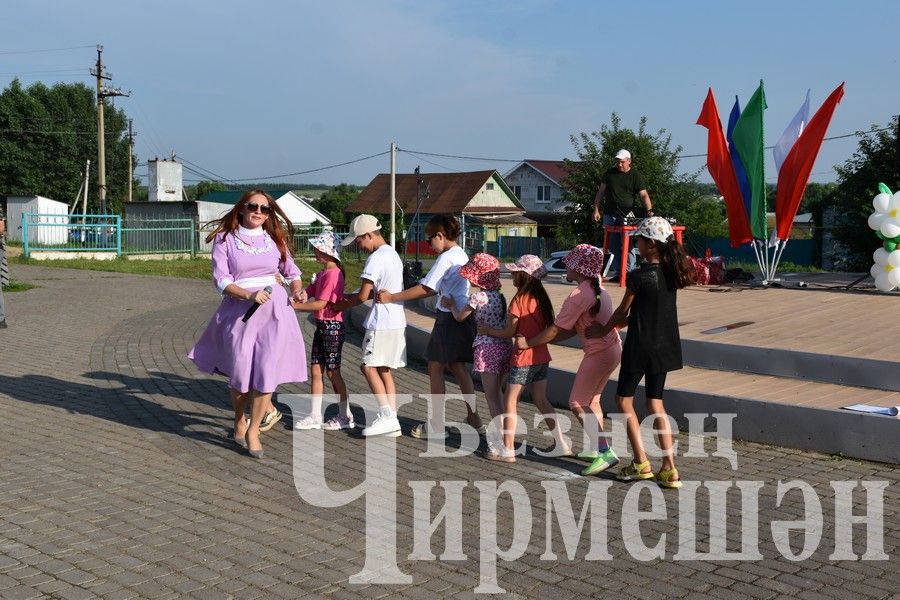 В Черемшане на празднике ко Дню семьи организовали мастер - классы (ФОТОРЕПОРТАЖ)