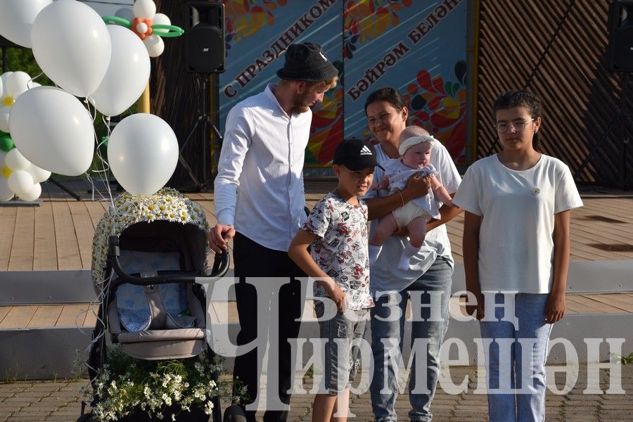 В Черемшане на празднике ко Дню семьи организовали мастер - классы (ФОТОРЕПОРТАЖ)