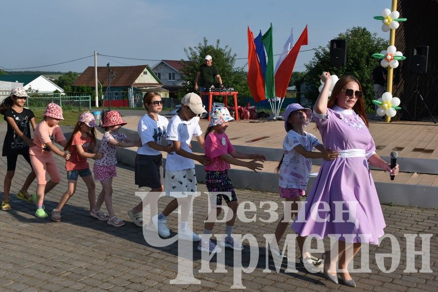 В Черемшане на празднике ко Дню семьи организовали мастер - классы (ФОТОРЕПОРТАЖ)