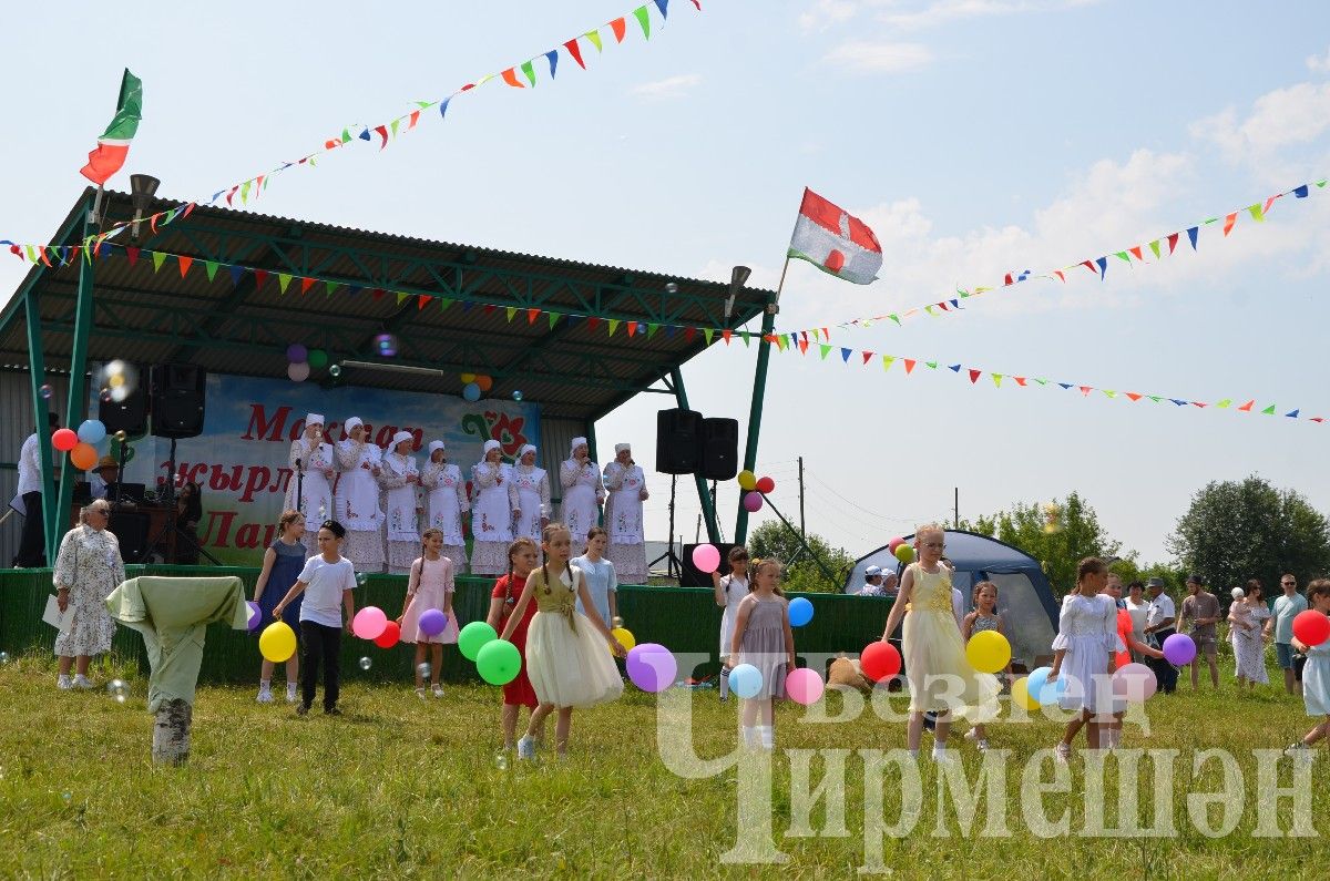 В Лашманке на празднике День села боролись и девушки (ФОТОРЕПОРТАЖ)