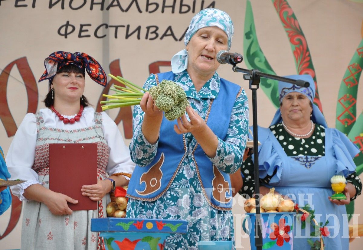 В Черемшане прошел межрегиональный фестиваль "Луковая долина" (ФОТОРЕПОРТАЖ)