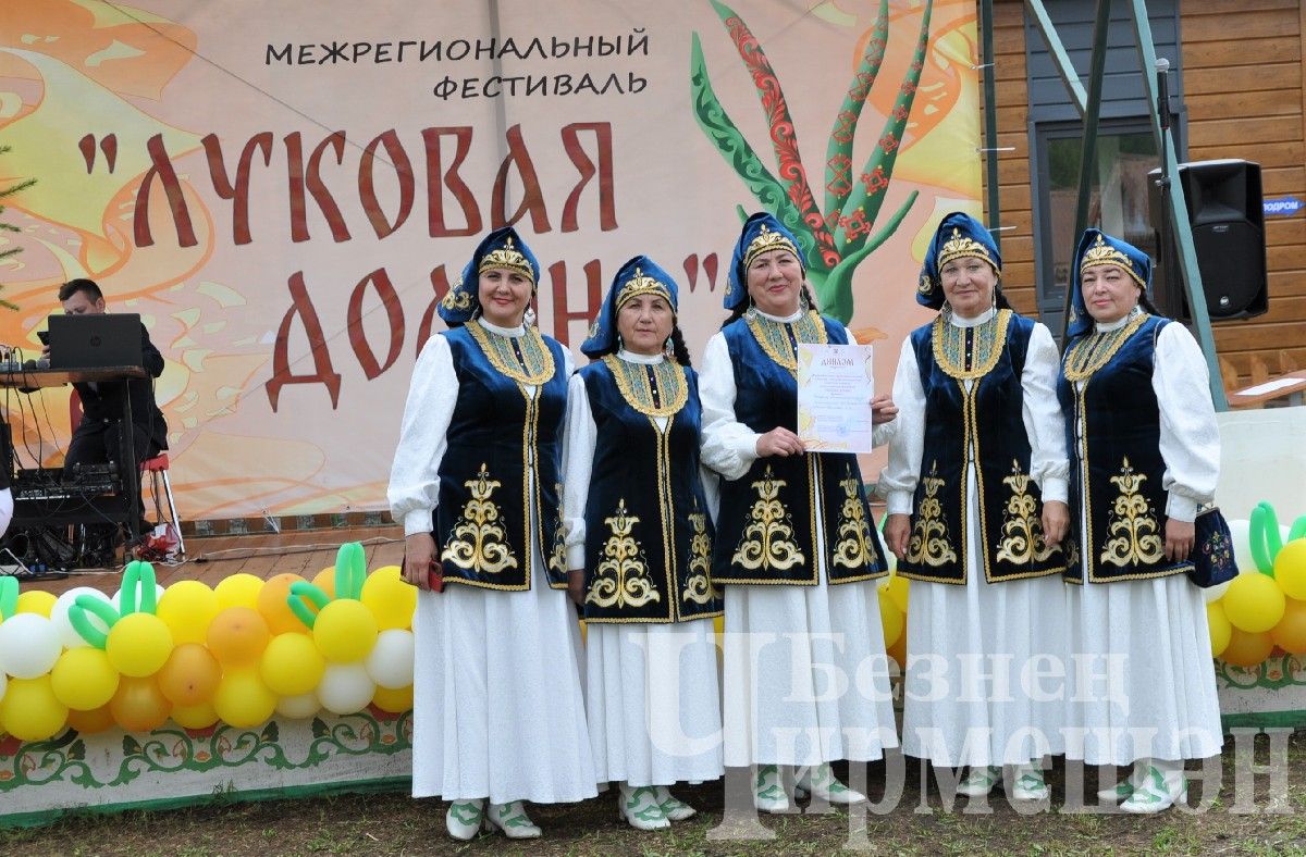 В Черемшане прошел межрегиональный фестиваль "Луковая долина" (ФОТОРЕПОРТАЖ)