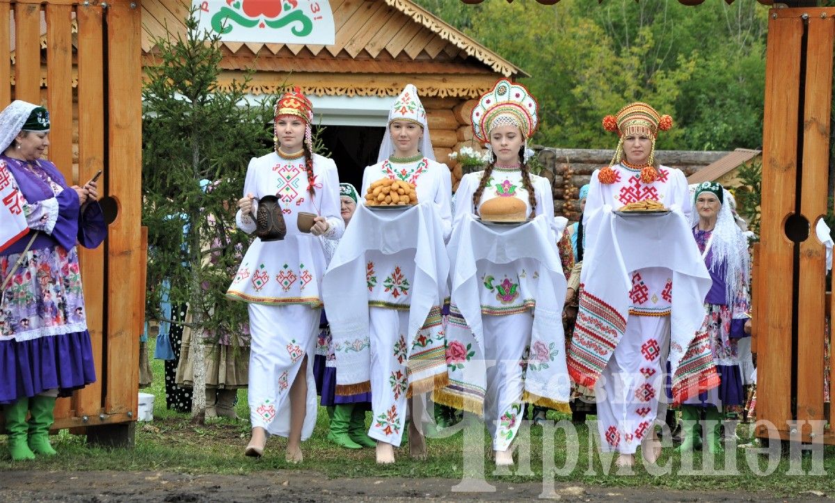 В Черемшане прошел межрегиональный фестиваль "Луковая долина" (ФОТОРЕПОРТАЖ)