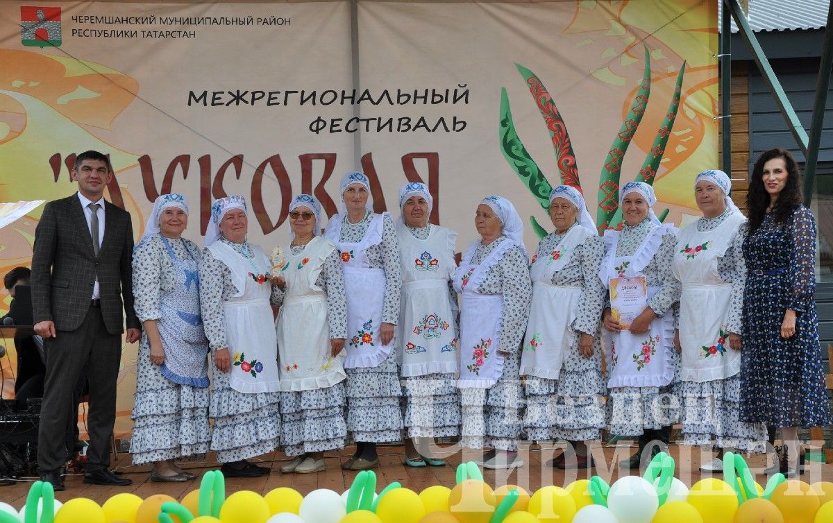 В Черемшане прошел межрегиональный фестиваль "Луковая долина" (ФОТОРЕПОРТАЖ)