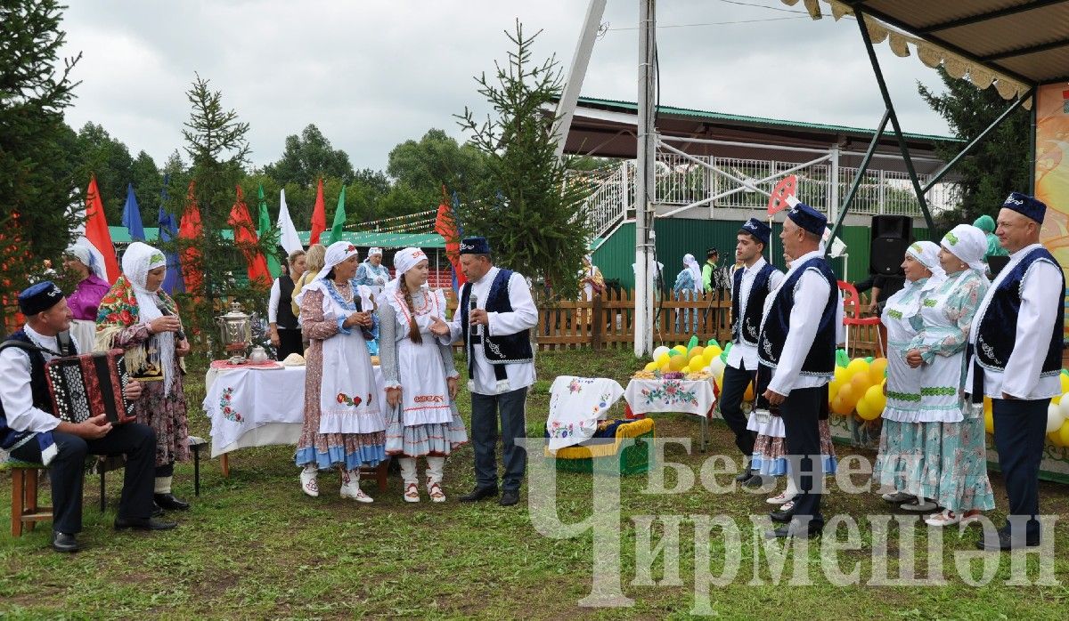 В Черемшане прошел межрегиональный фестиваль "Луковая долина" (ФОТОРЕПОРТАЖ)