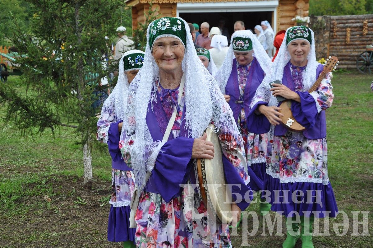 В Черемшане прошел межрегиональный фестиваль "Луковая долина" (ФОТОРЕПОРТАЖ)