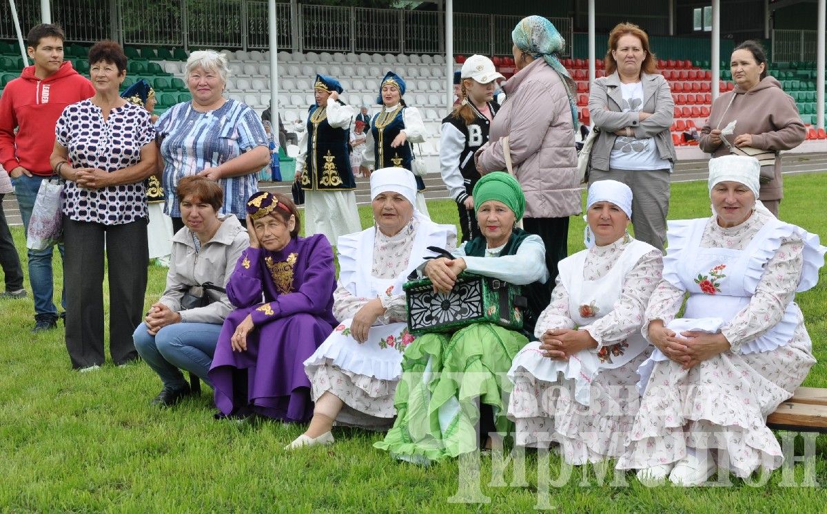 В Черемшане прошел межрегиональный фестиваль "Луковая долина" (ФОТОРЕПОРТАЖ)