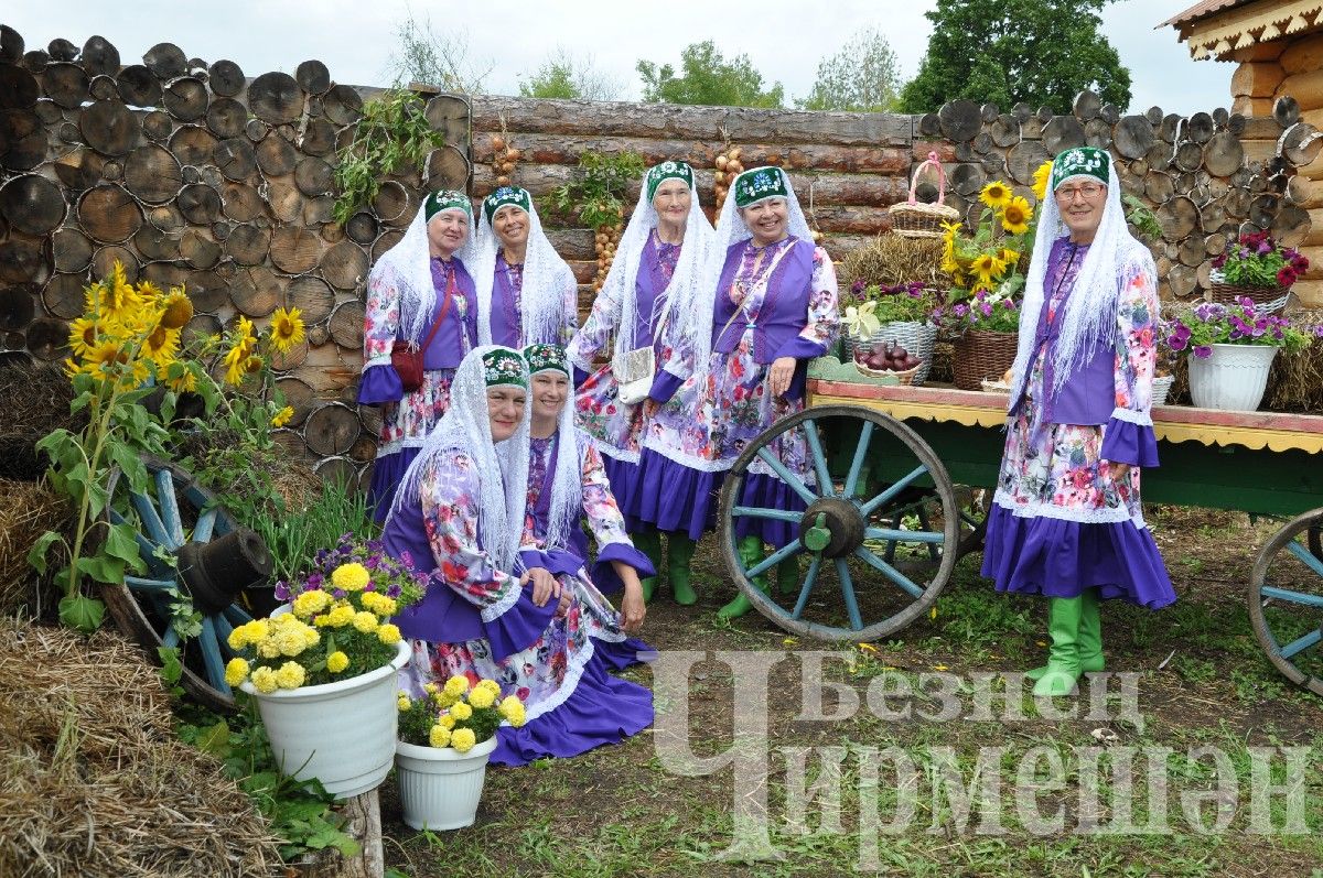 В Черемшане прошел межрегиональный фестиваль "Луковая долина" (ФОТОРЕПОРТАЖ)