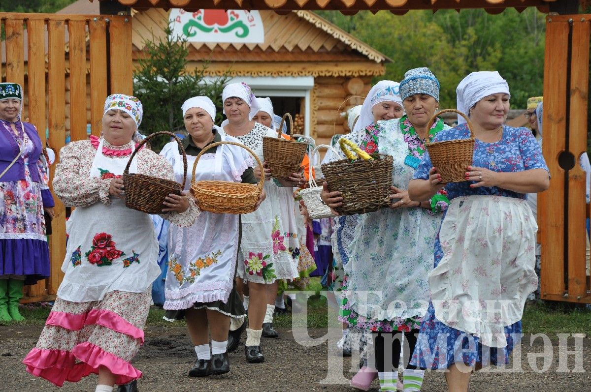 В Черемшане прошел межрегиональный фестиваль "Луковая долина" (ФОТОРЕПОРТАЖ)