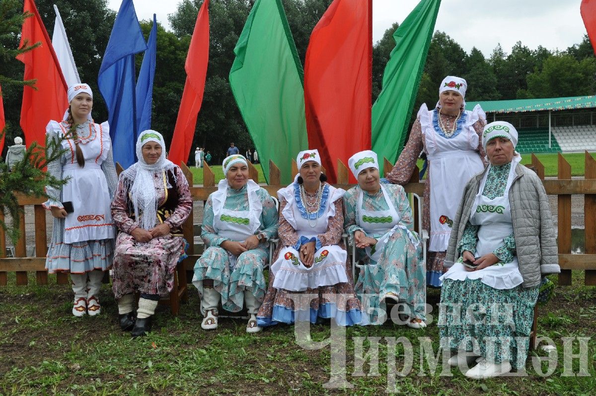 В Черемшане прошел межрегиональный фестиваль "Луковая долина" (ФОТОРЕПОРТАЖ)