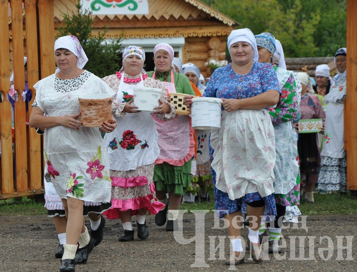 В Черемшане прошел межрегиональный фестиваль "Луковая долина" (ФОТОРЕПОРТАЖ)