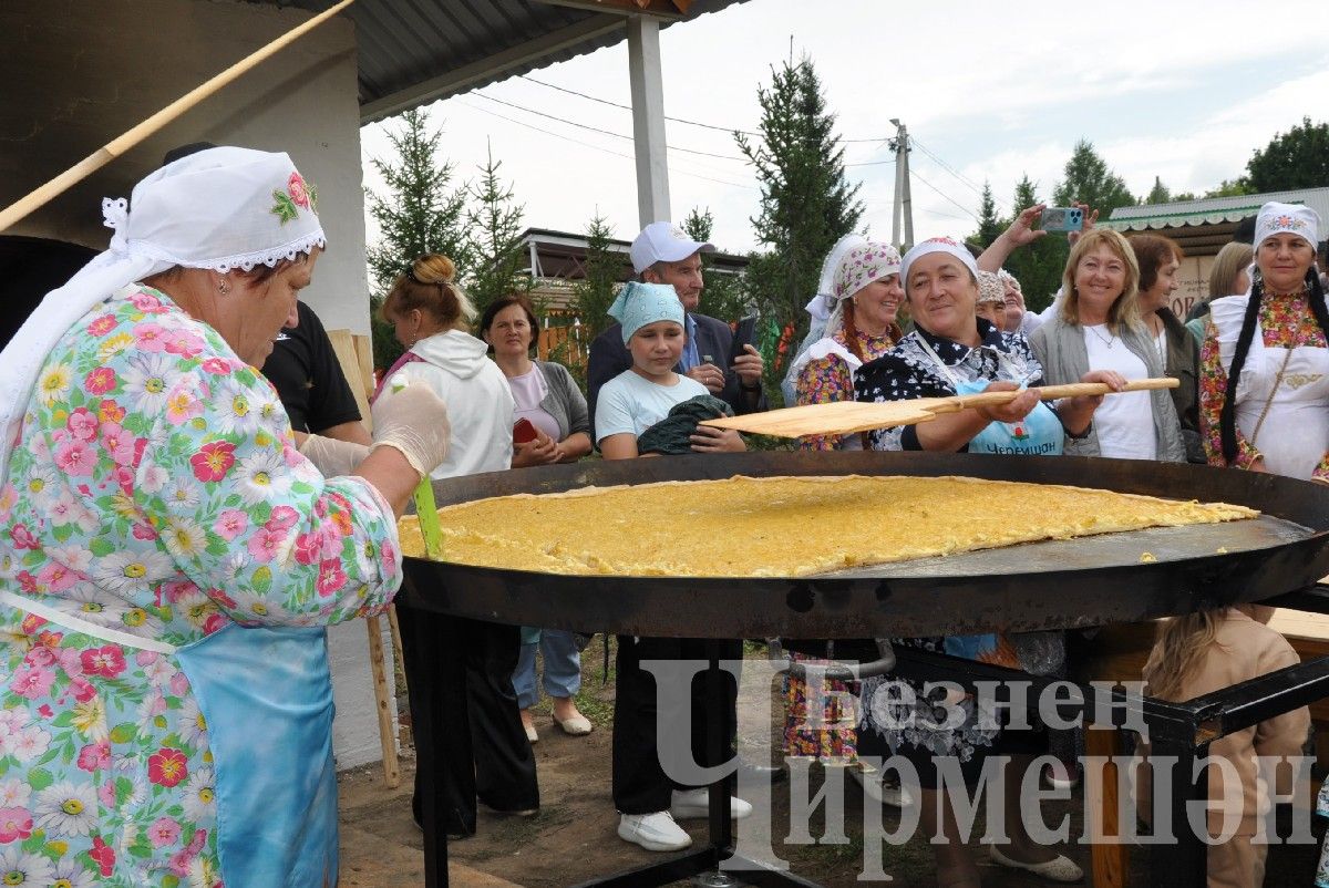 В Черемшане прошел межрегиональный фестиваль "Луковая долина" (ФОТОРЕПОРТАЖ)