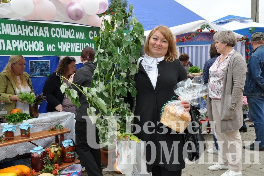 В Черемшане августовская конференция учителей началась с Ярмарки добра (ФОТОРЕПОРТАЖ)