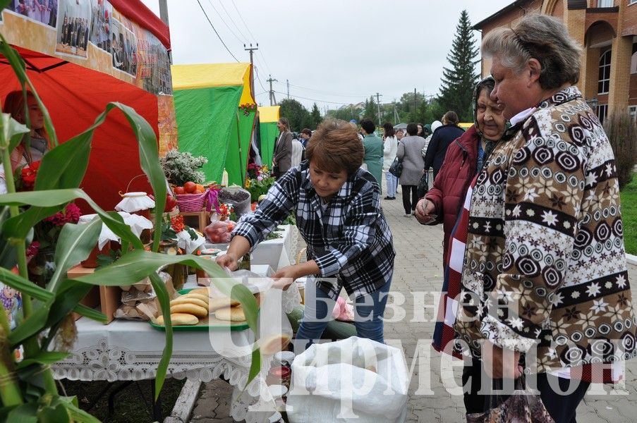 Чирмешәндә укытучыларның август конференциясе "Игелек ярминкәсеннән" башланды (ФОТОРЕПОРТАЖ)