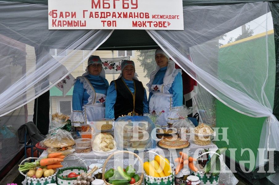 В Черемшане августовская конференция учителей началась с Ярмарки добра (ФОТОРЕПОРТАЖ)