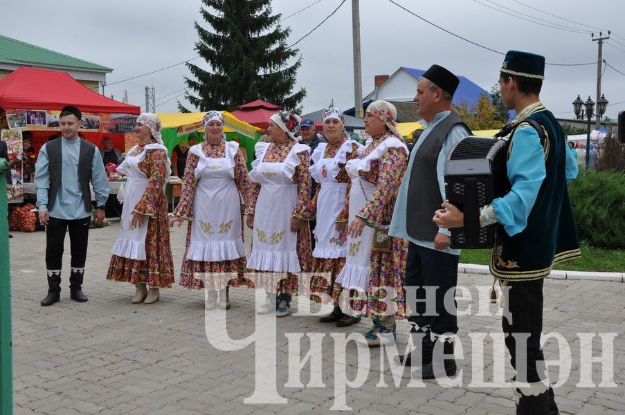 Чирмешәндә укытучыларның август конференциясе "Игелек ярминкәсеннән" башланды (ФОТОРЕПОРТАЖ)