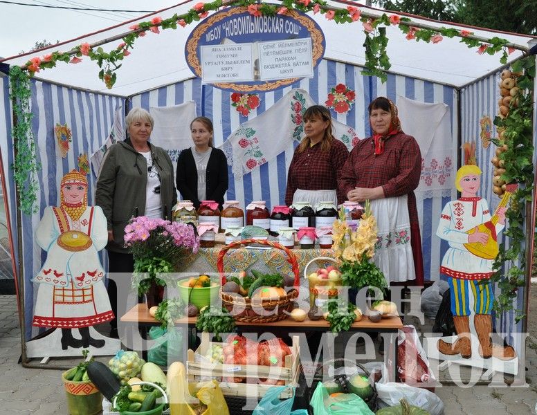 В Черемшане августовская конференция учителей началась с Ярмарки добра (ФОТОРЕПОРТАЖ)