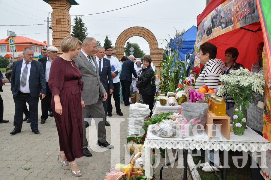 В Черемшане августовская конференция учителей началась с Ярмарки добра (ФОТОРЕПОРТАЖ)