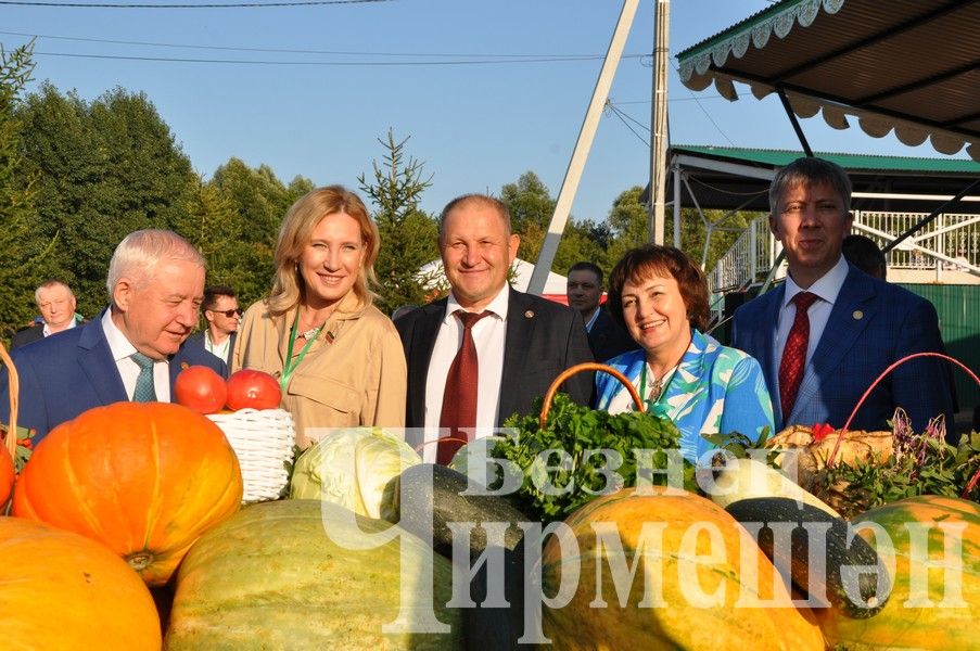 В Черемшане в один день отметили три праздника (ФОТОРЕПОРТАЖ)