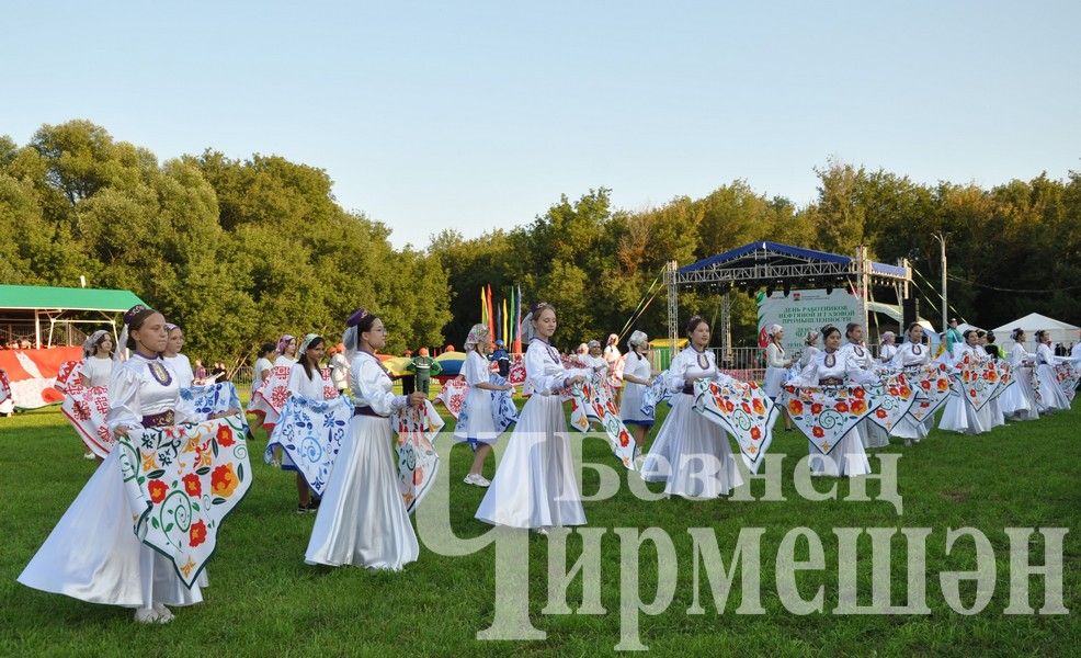 В Черемшане в один день отметили три праздника (ФОТОРЕПОРТАЖ)