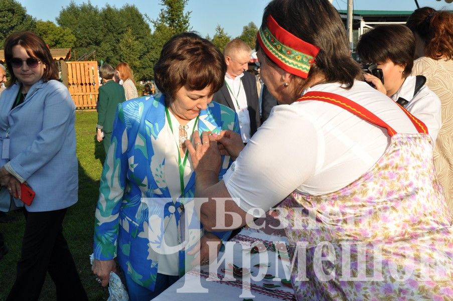 В Черемшане в один день отметили три праздника (ФОТОРЕПОРТАЖ)