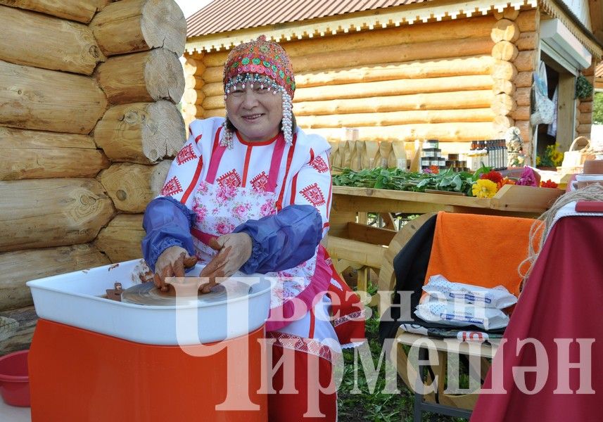 В Черемшане в один день отметили три праздника (ФОТОРЕПОРТАЖ)