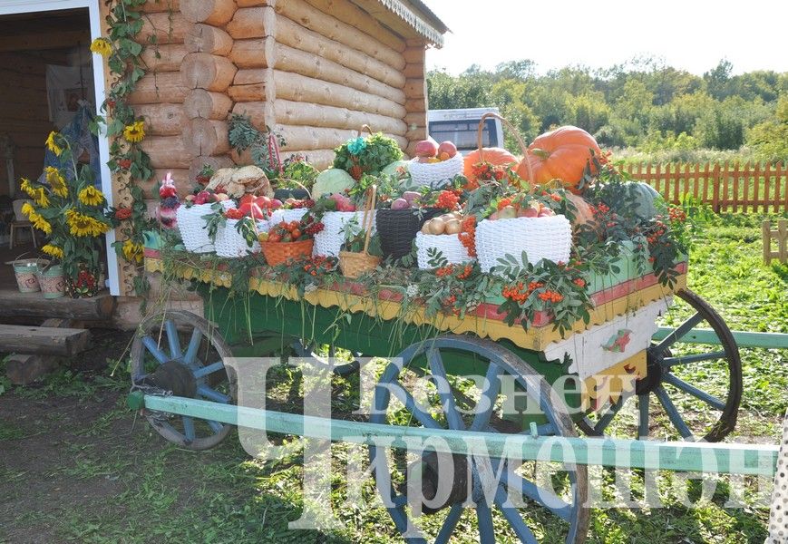 В Черемшане в один день отметили три праздника (ФОТОРЕПОРТАЖ)