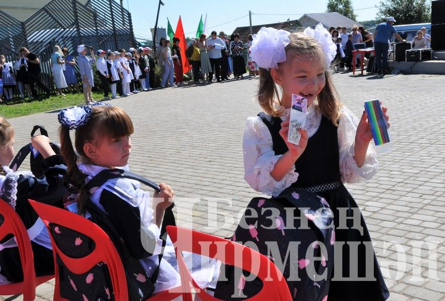 В Черемшане прошла ежегодная акция "Помоги собраться в школу" (ФОТОРЕПОРТАЖ)