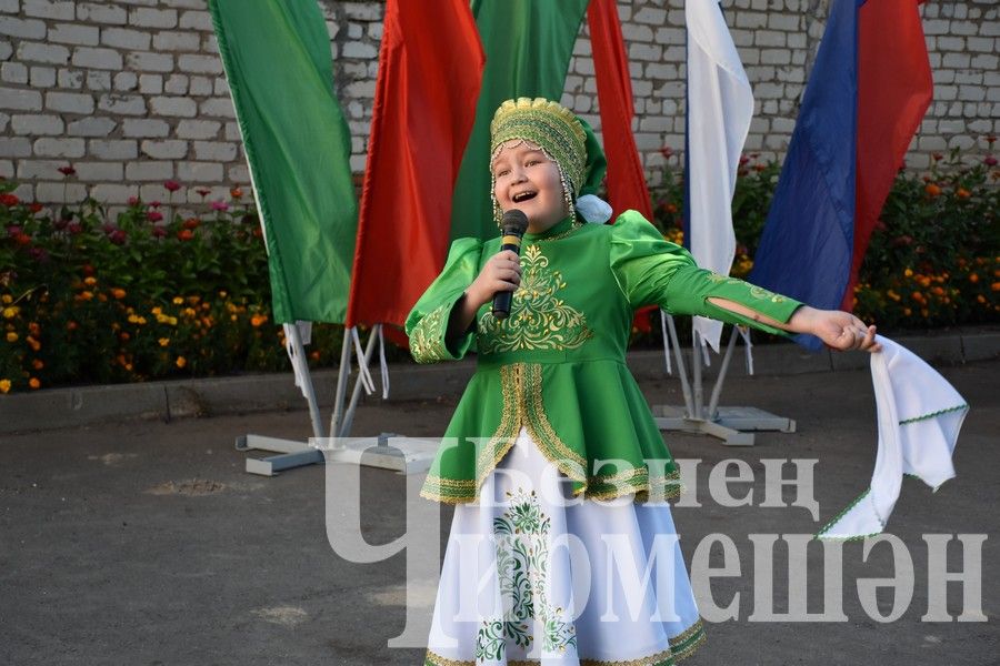 В Черемшане прошли мероприятия в рамках проекта "Помощь семье" (ФОТОРЕПОРТАЖ)