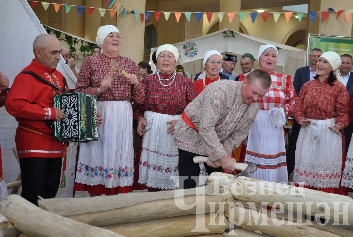 День культуры Черемшанского района в Казани прошел колоритно (ФОТОРЕПОРТАЖ)