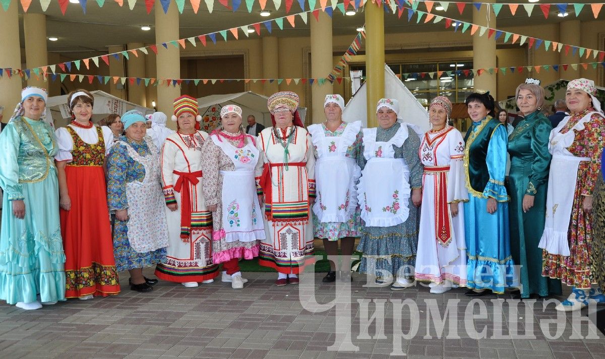 День культуры Черемшанского района в Казани прошел колоритно (ФОТОРЕПОРТАЖ)