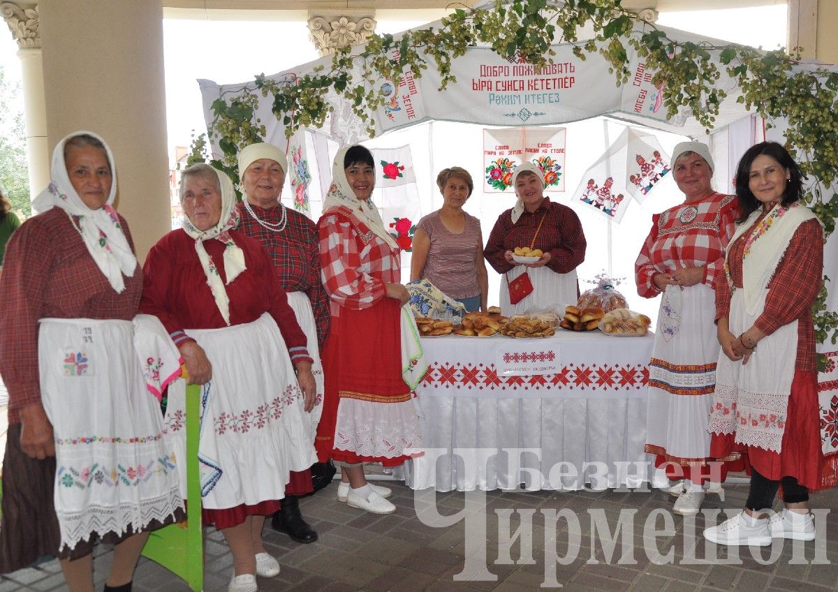 День культуры Черемшанского района в Казани прошел колоритно (ФОТОРЕПОРТАЖ)