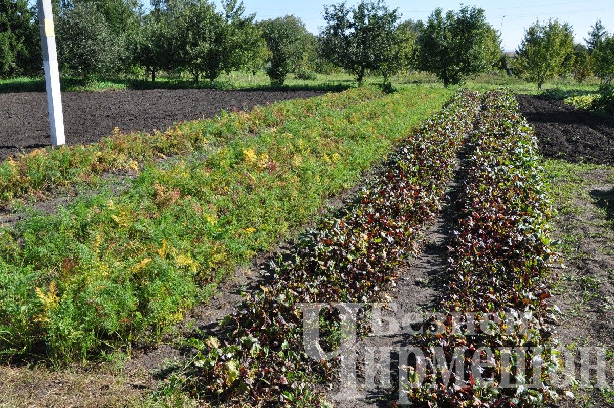 На торжественную линейку в Ивашкине пришло много гостей (ФОТОРЕПОРТАЖ)