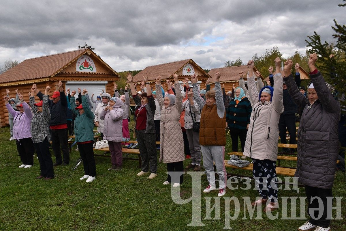 Чирмешәндә скандинавларча йөрүчеләрнең II район фестивале узды (ФОТОРЕПОРТАЖ)