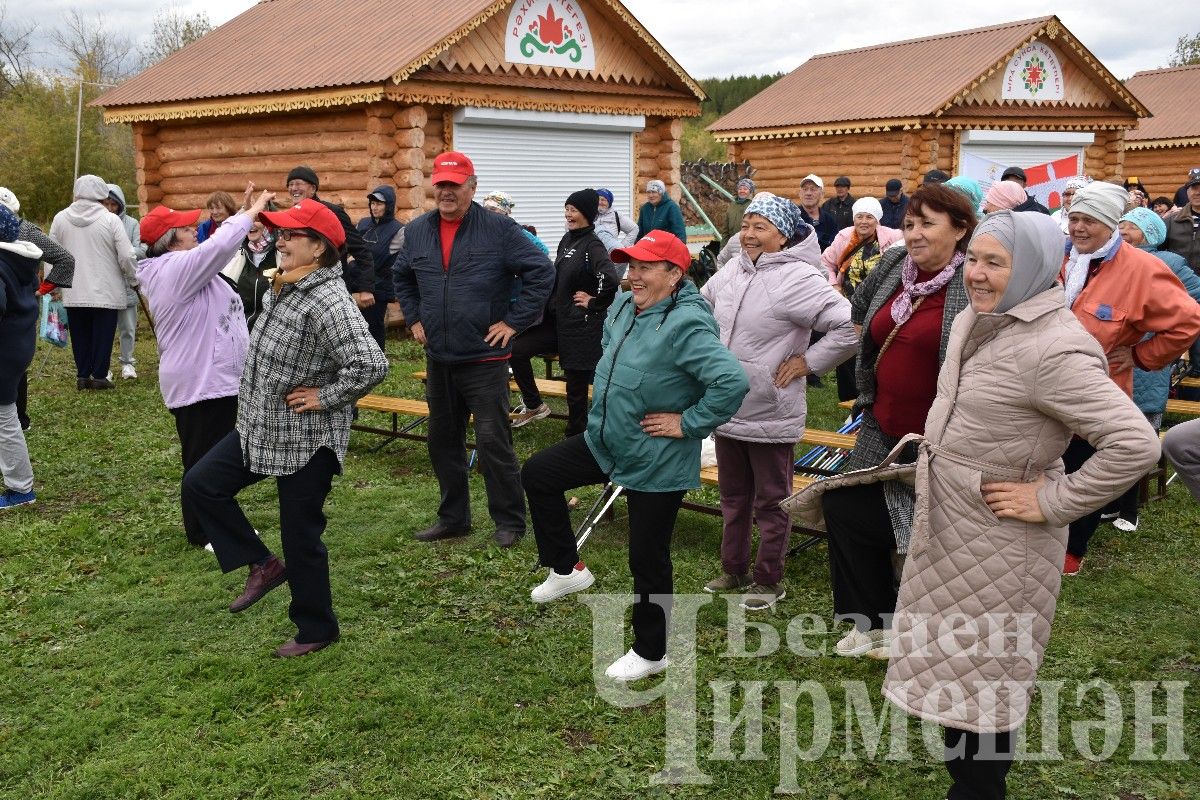 В Черемшане состоялся II районный фестиваль любителей скандинавской ходьбы (ФОТОРЕПОРТАЖ)