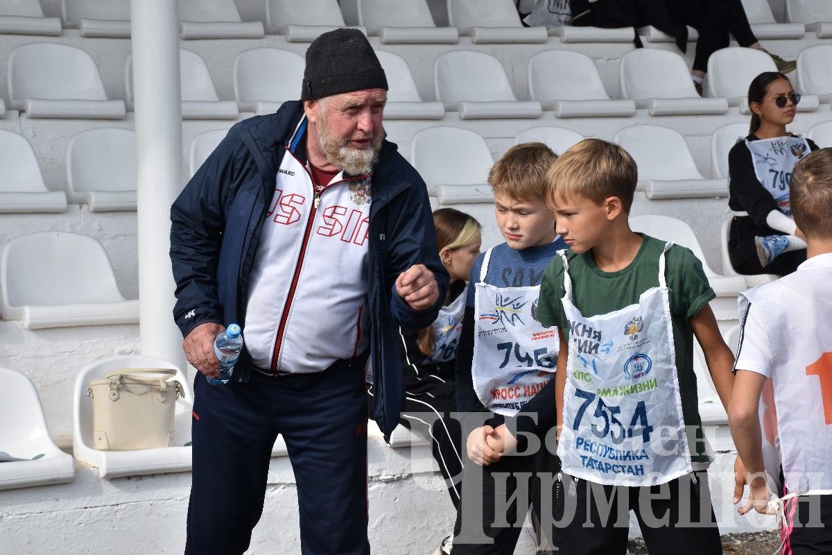 В Черемшане более 500 человек приняли участие в массовом забеге "Кросс Татарстана-2024"