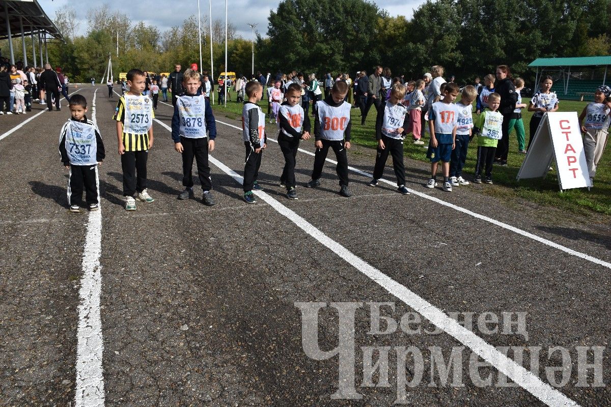 В Черемшане более 500 человек приняли участие в массовом забеге "Кросс Татарстана-2024"