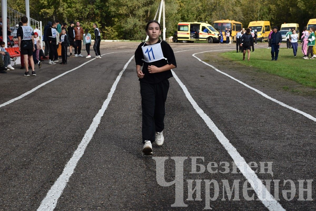 В Черемшане более 500 человек приняли участие в массовом забеге "Кросс Татарстана-2024"