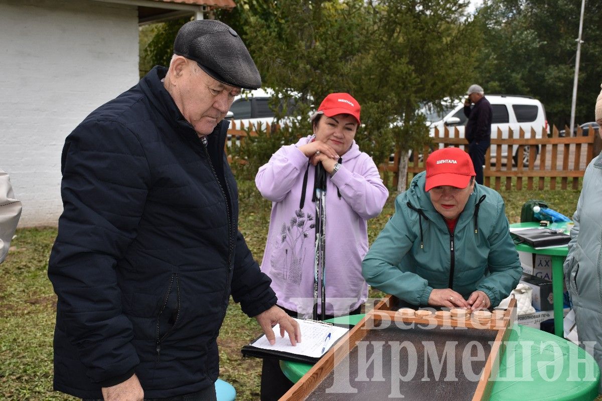 Чирмешәндә скандинавларча йөрүчеләрнең II район фестивале узды (ФОТОРЕПОРТАЖ)