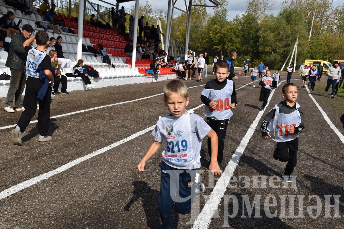 В Черемшане более 500 человек приняли участие в массовом забеге "Кросс Татарстана-2024"