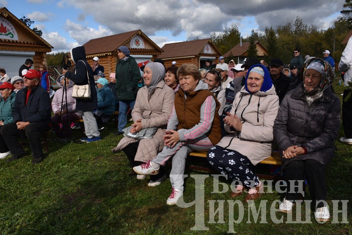 В Черемшане состоялся II районный фестиваль любителей скандинавской ходьбы (ФОТОРЕПОРТАЖ)