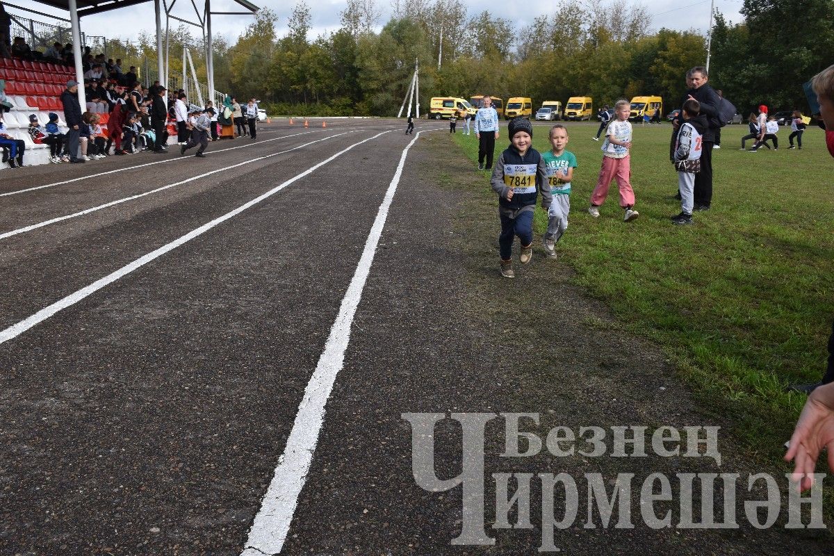 В Черемшане более 500 человек приняли участие в массовом забеге "Кросс Татарстана-2024"